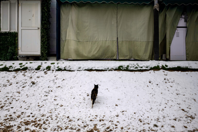 Photo by Alex 艾老师