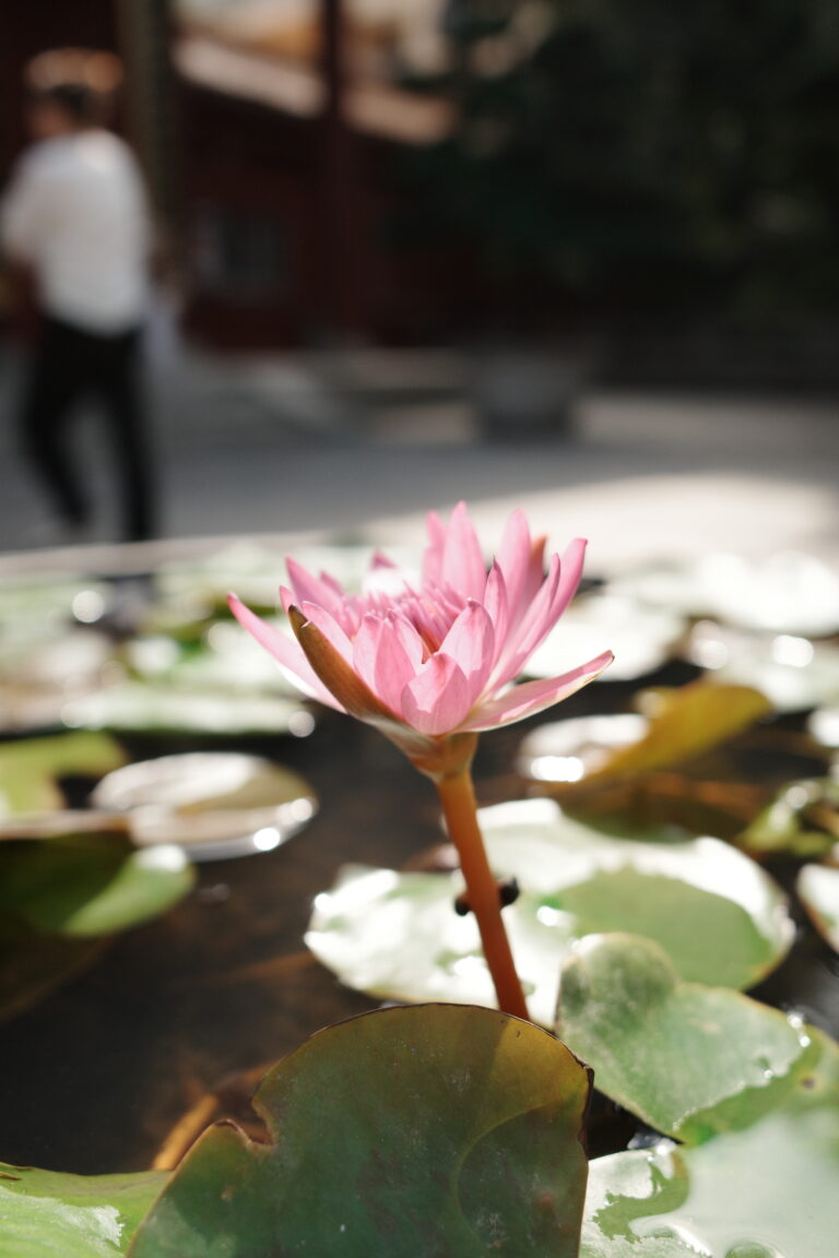 Photo by Bruce Wagner