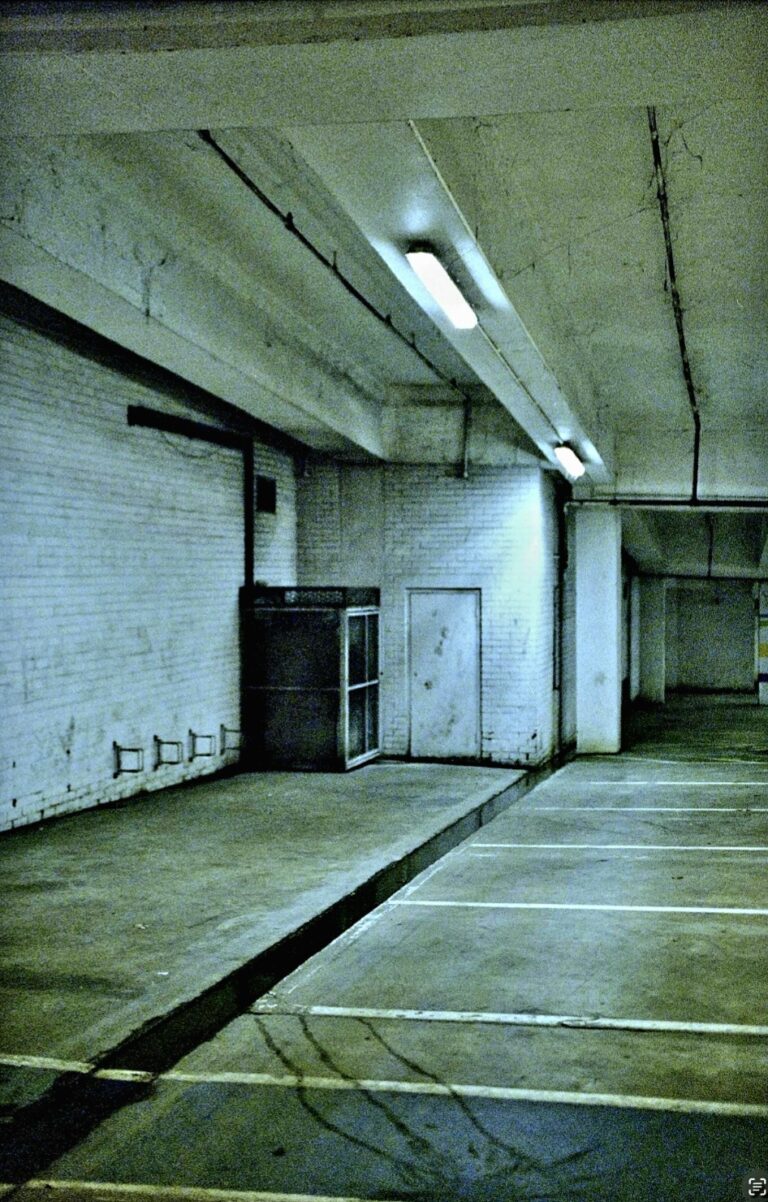 Photo by Paul Martin