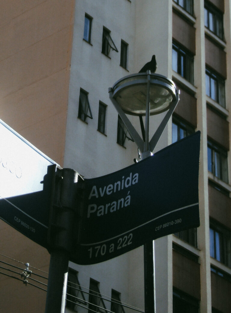 Photo by Amanda Reis