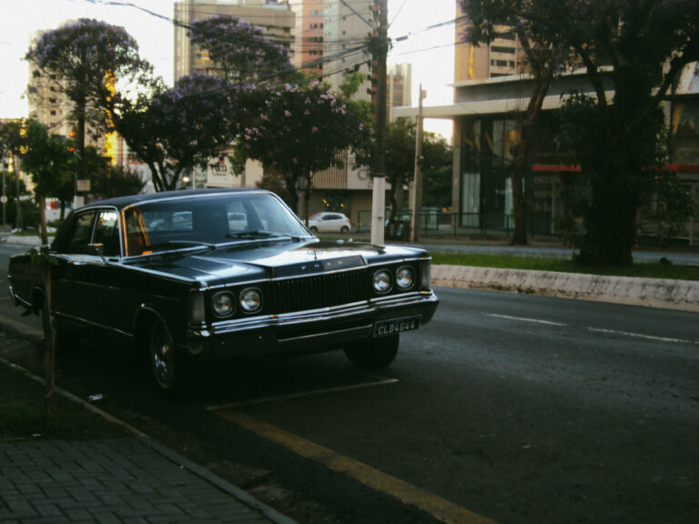 Photo by Amanda Reis