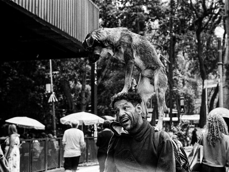 Photo by Nicolas Breno Klinke