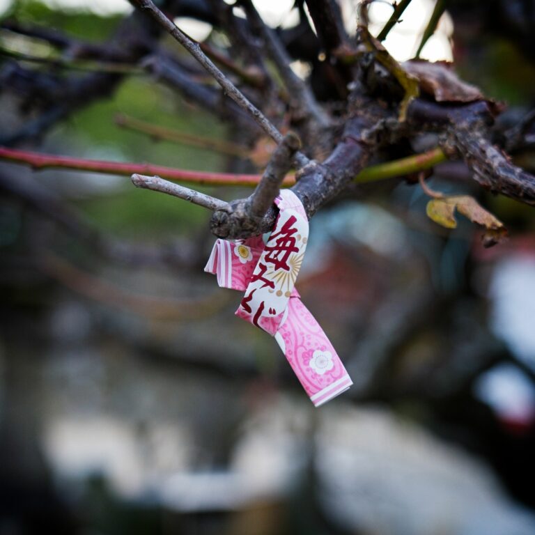 Photo by Mike Carter