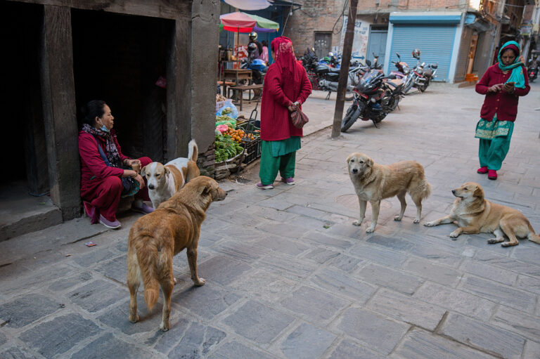 Photo by Black Pixel