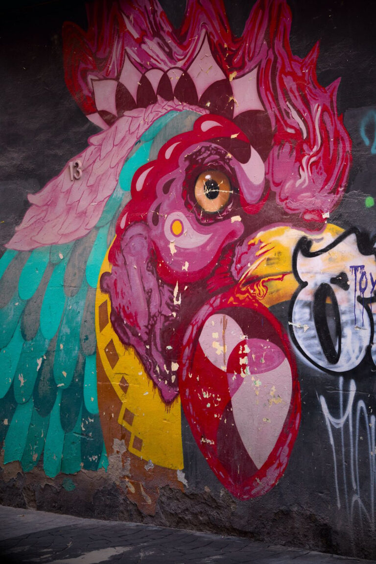 Photo by Pascal Hoerner