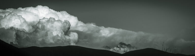 Photo by Armen Musheghyan