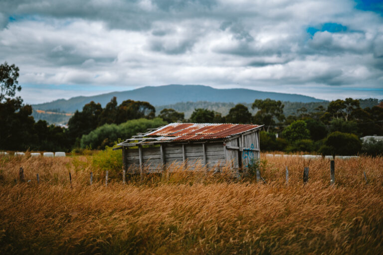 Photo by Jayne Mitchell