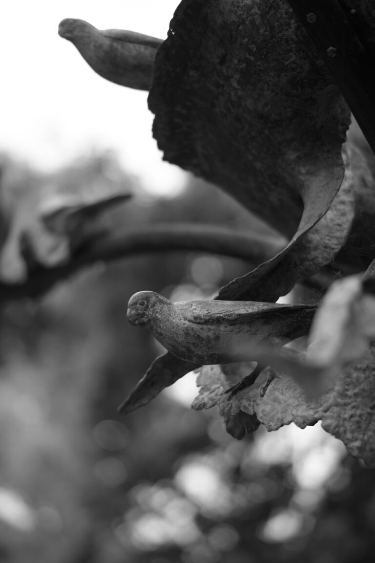 Photo by Jayne Mitchell