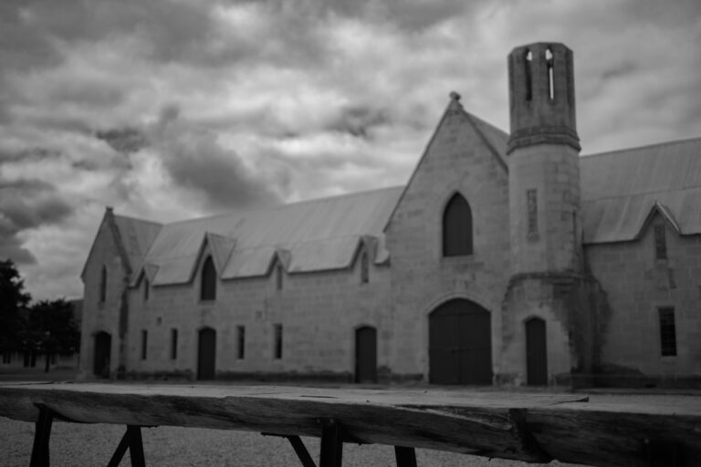 Photo by Jayne Mitchell