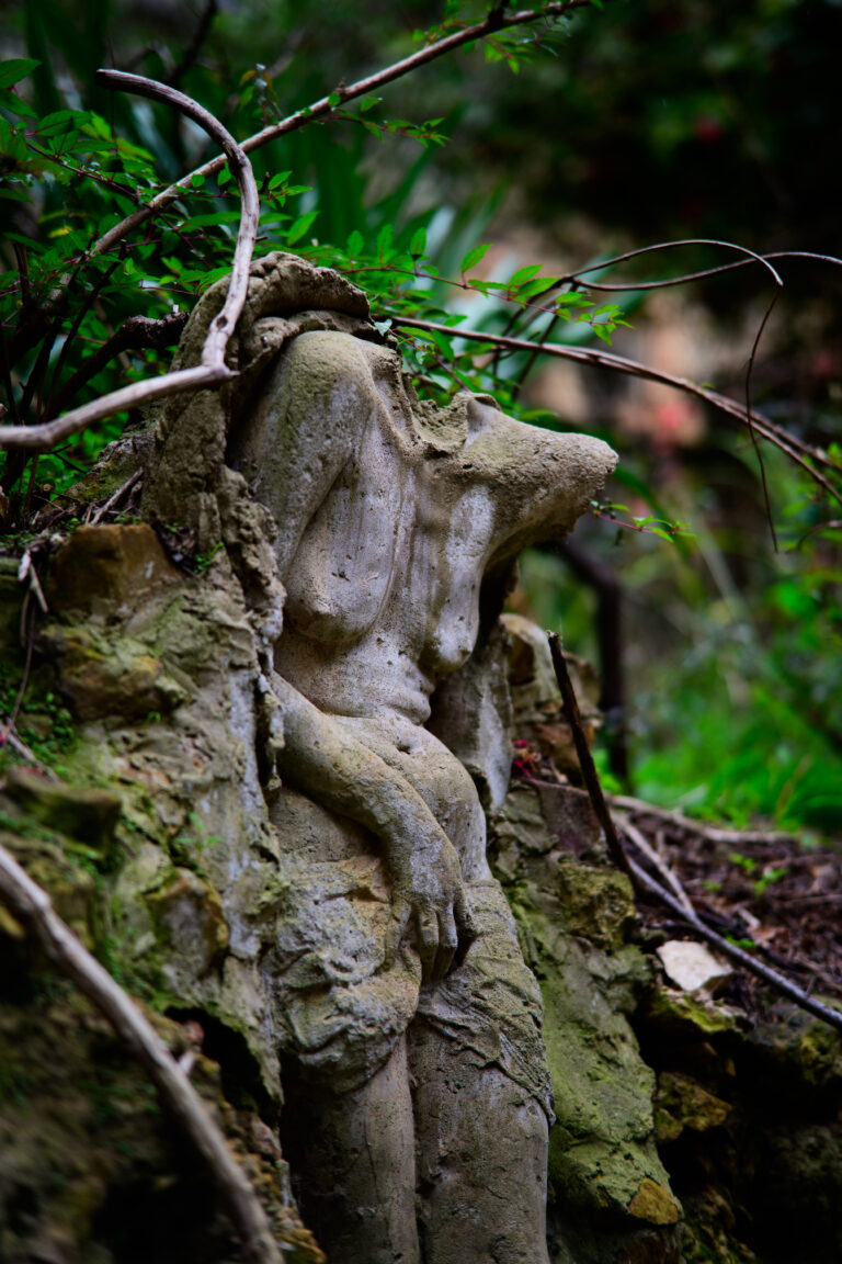 Photo by Jayne Mitchell