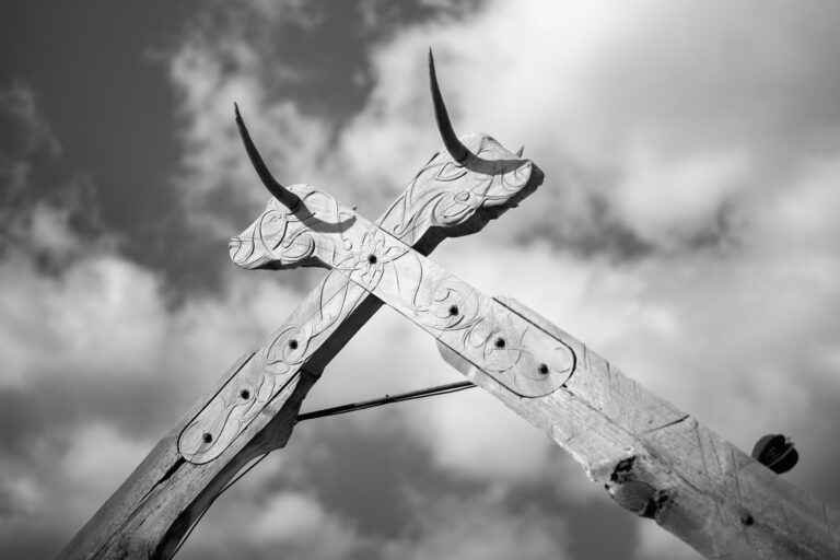 Photo by Jayne Mitchell