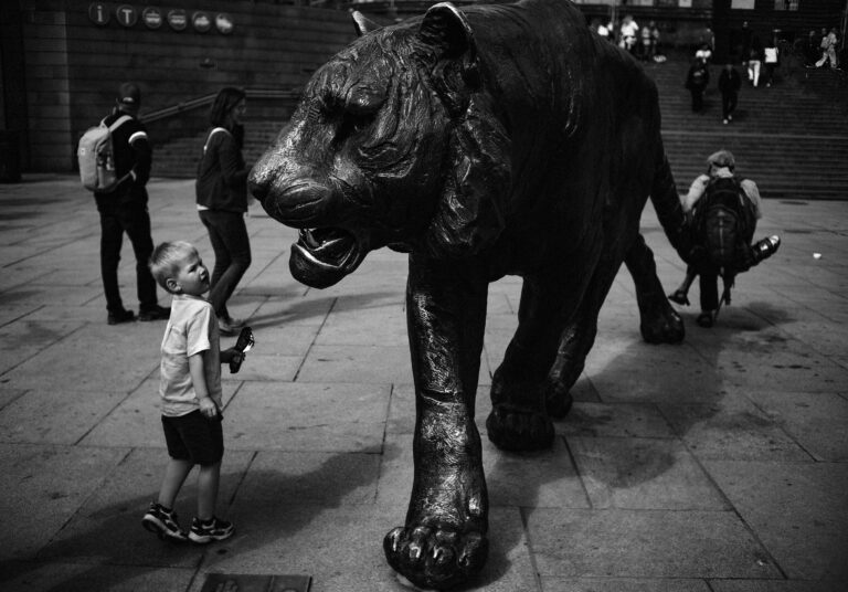 Photo by Matthias Fenzl