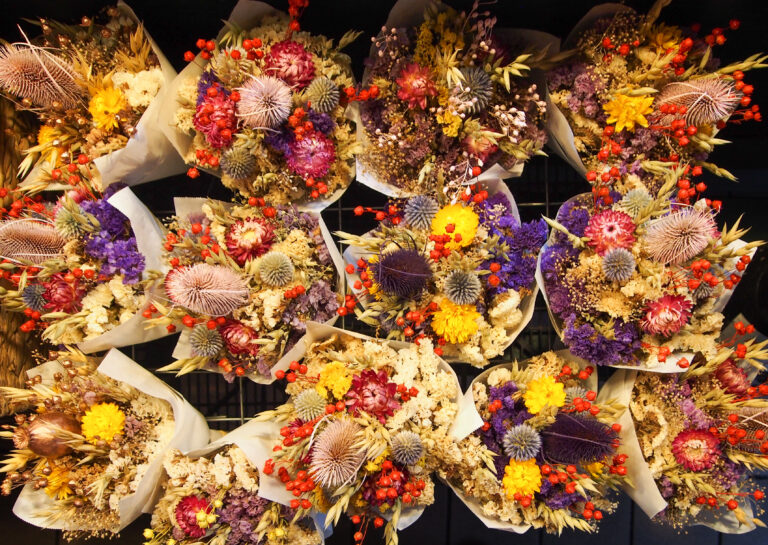 Photo by Vivian Totanes