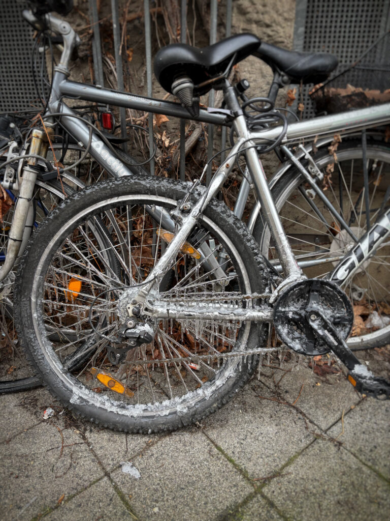 Photo by Florian Schoppe