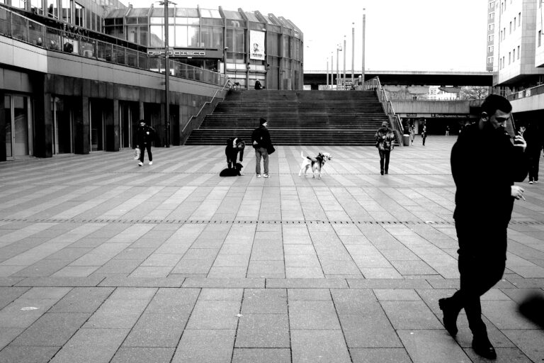 Photo by Tom Müller