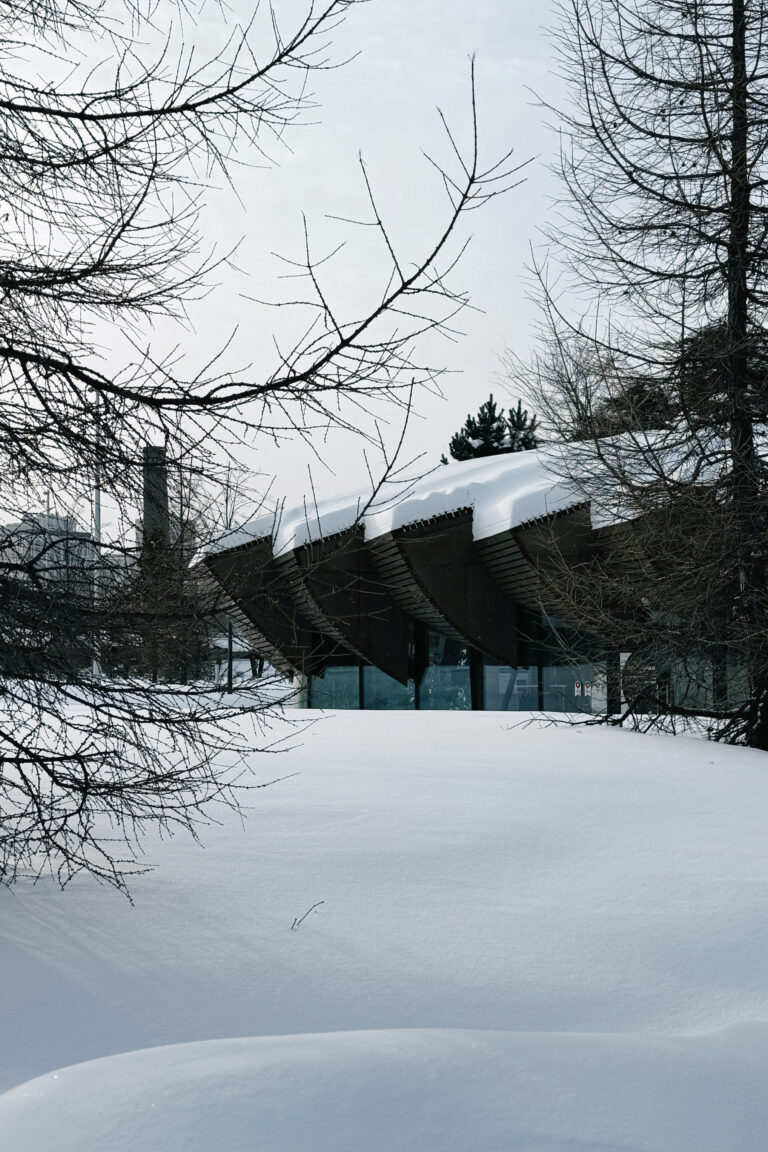 Photo by Dmitry Korol