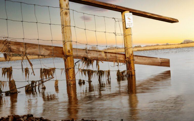 Photo by Simon Frost