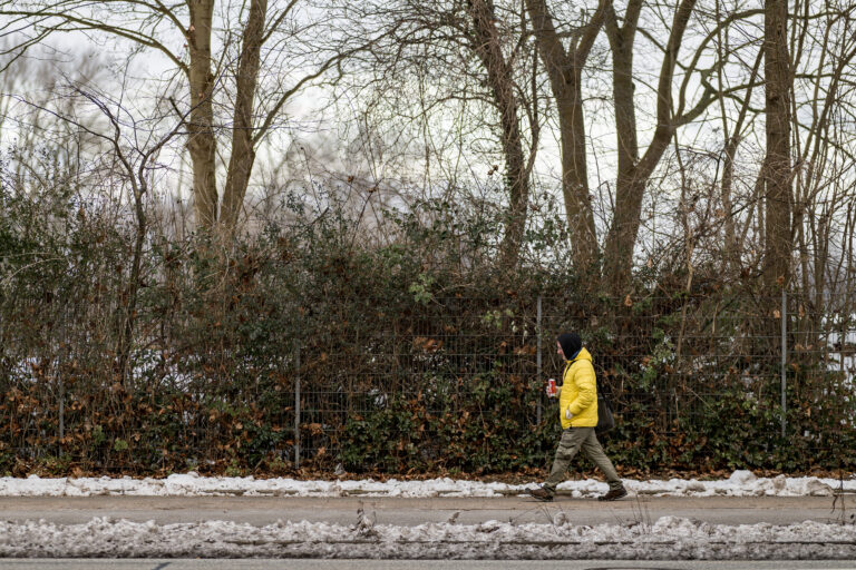 Photo by Thore Siebrands