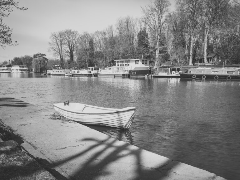 Photo by Neil Broadhurst