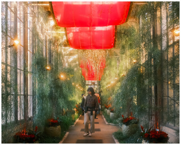 Photo by Brandon Blankenship