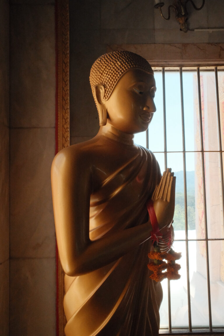 Photo by Philippe Abed