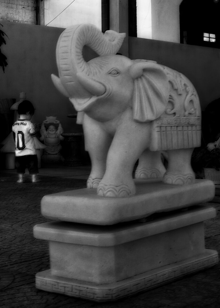 Photo by David Rockwood