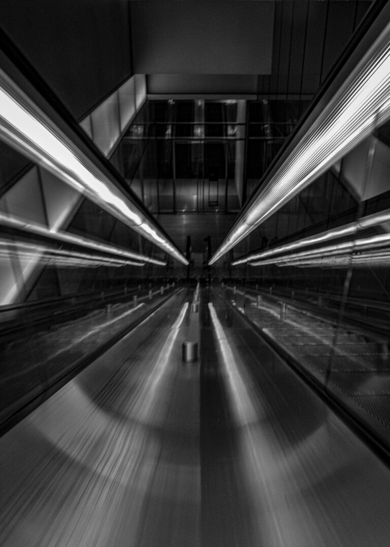 Photo by Dre Beverley