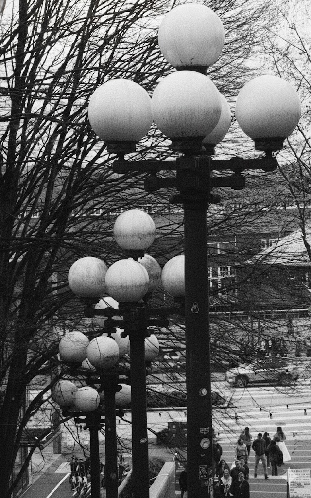 Photo by Vivian Totanes