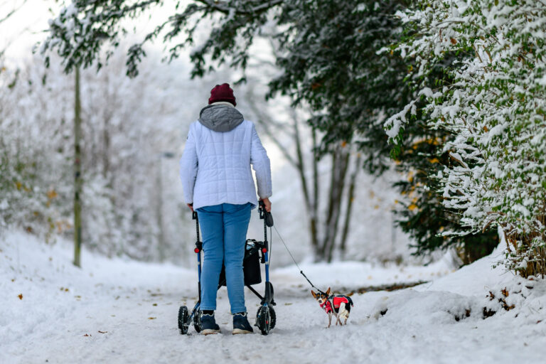 Photo by Thore Siebrands