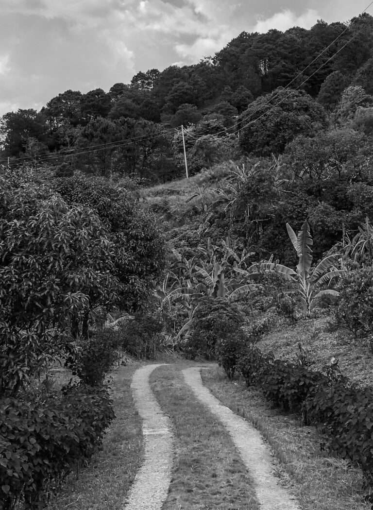 Photo by Vivian Totanes