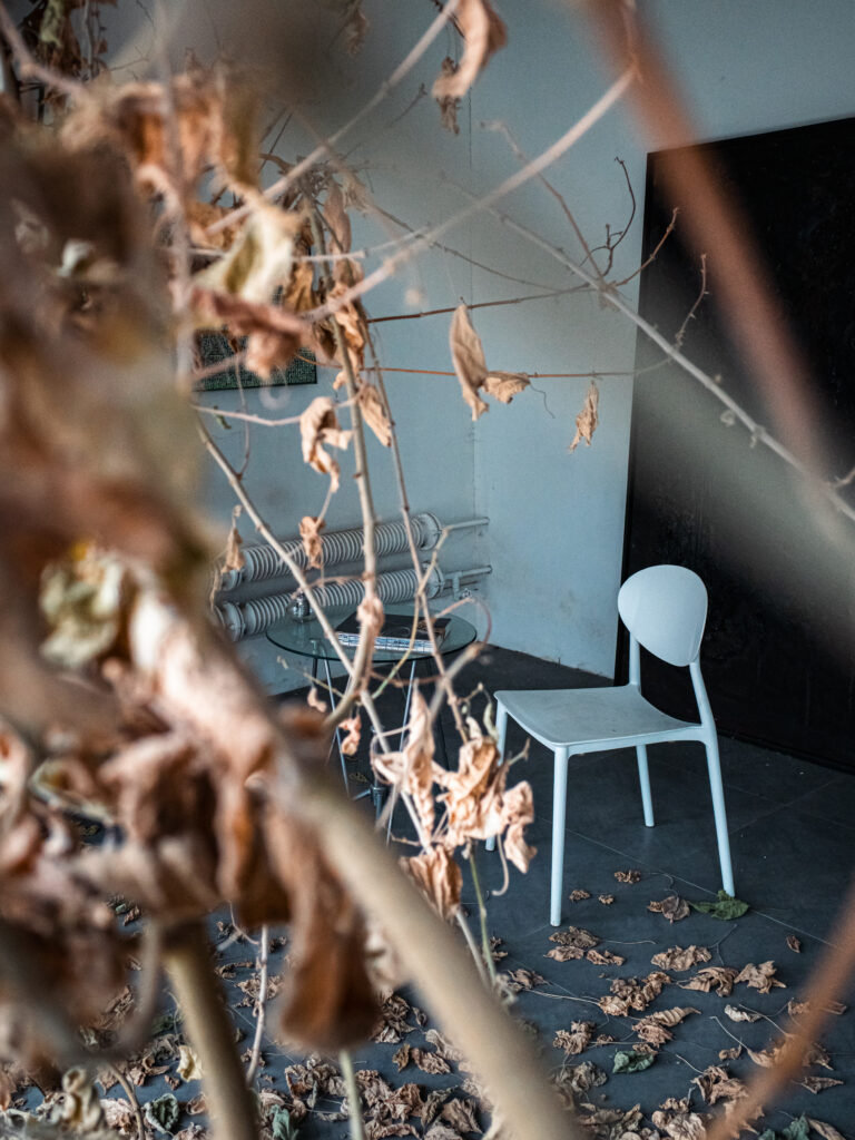 Photo by Alex 艾老师