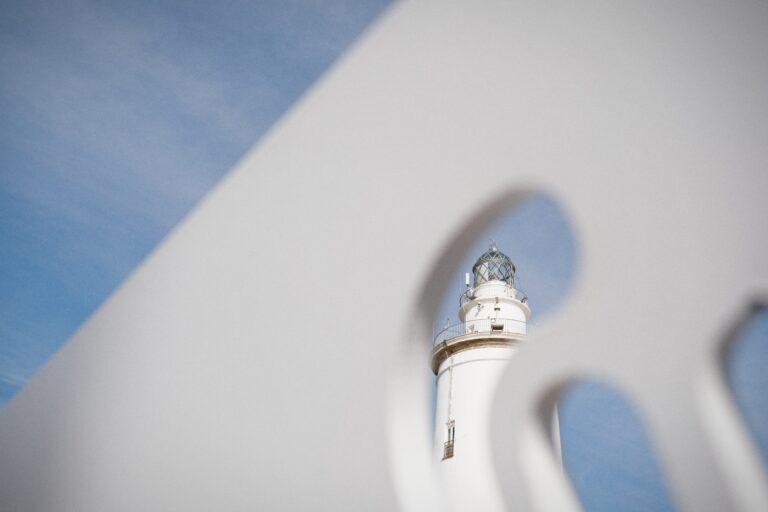 Photo by Trevor Morse