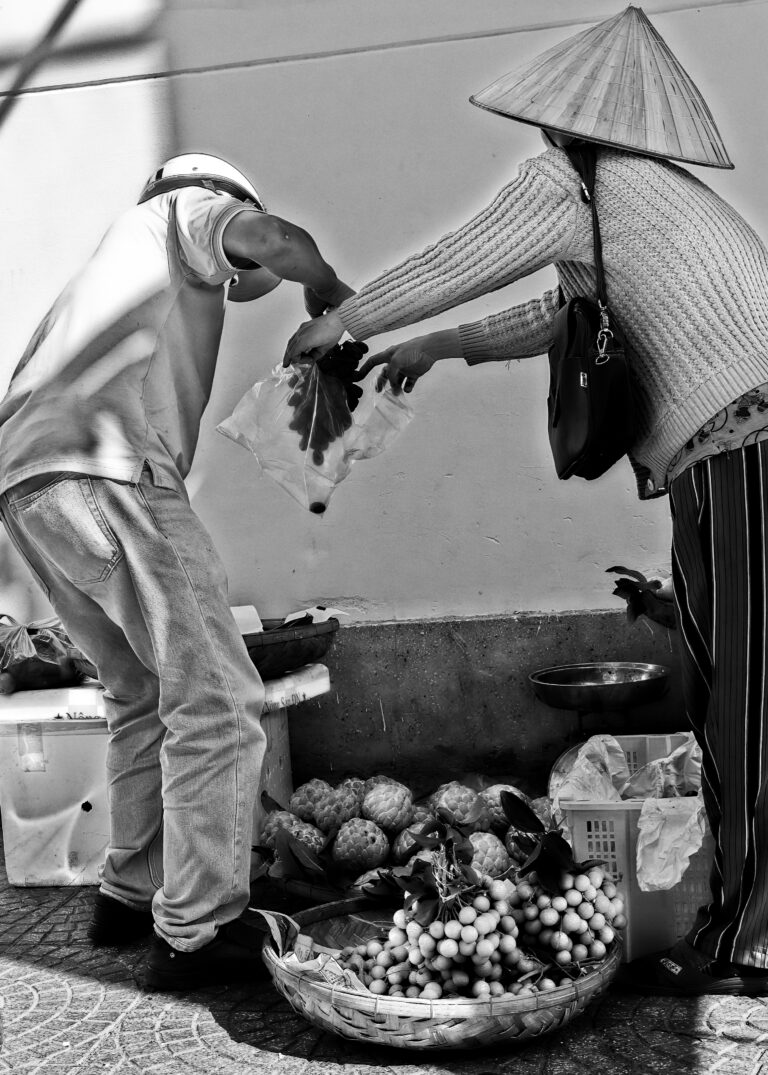 Photo by David Rockwood