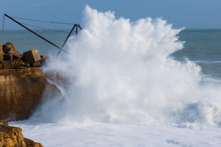 Photo by Simon Frost