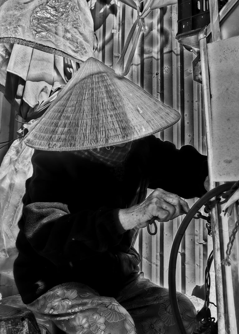 Photo by David Rockwood