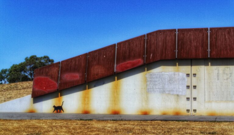 Photo by Ben Bridges