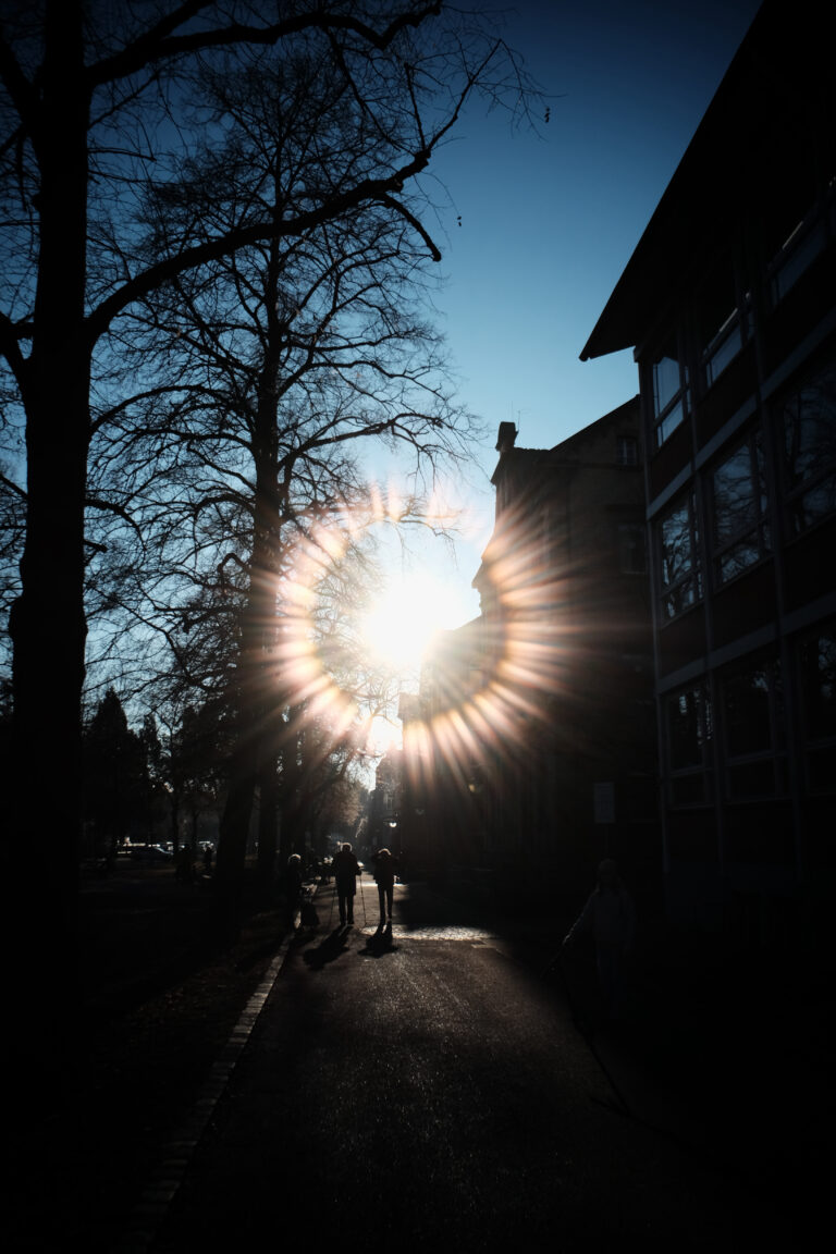 Photo by Jef 📷🍀