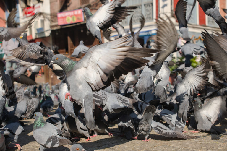 Photo by Black Pixel