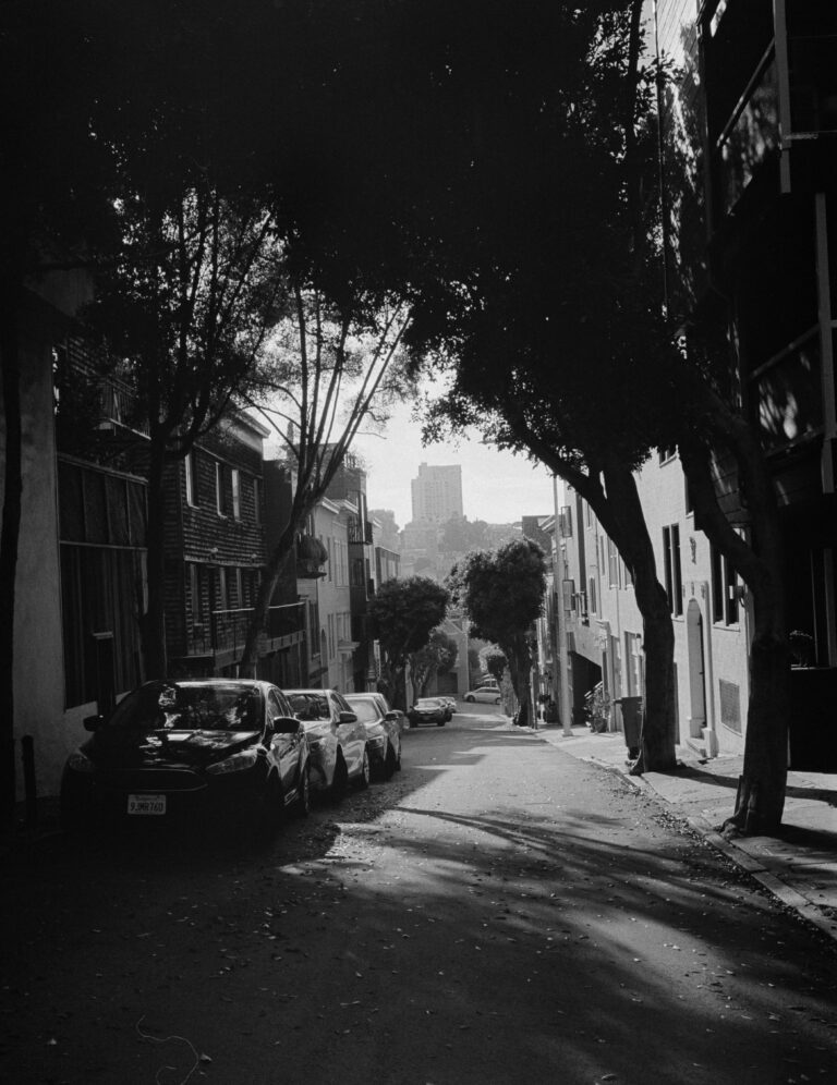 Photo by Nehas Vodou