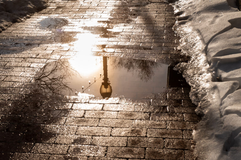 Photo by Brandon Blankenship