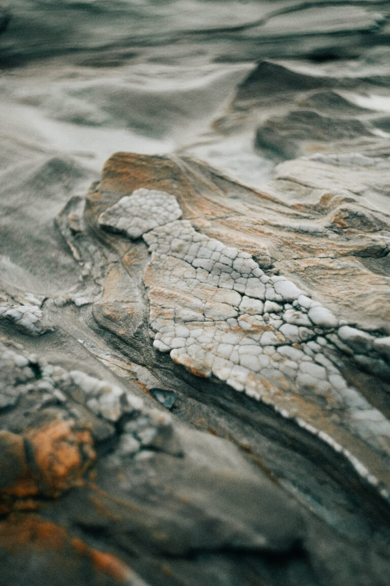 Photo by Charles Séguy