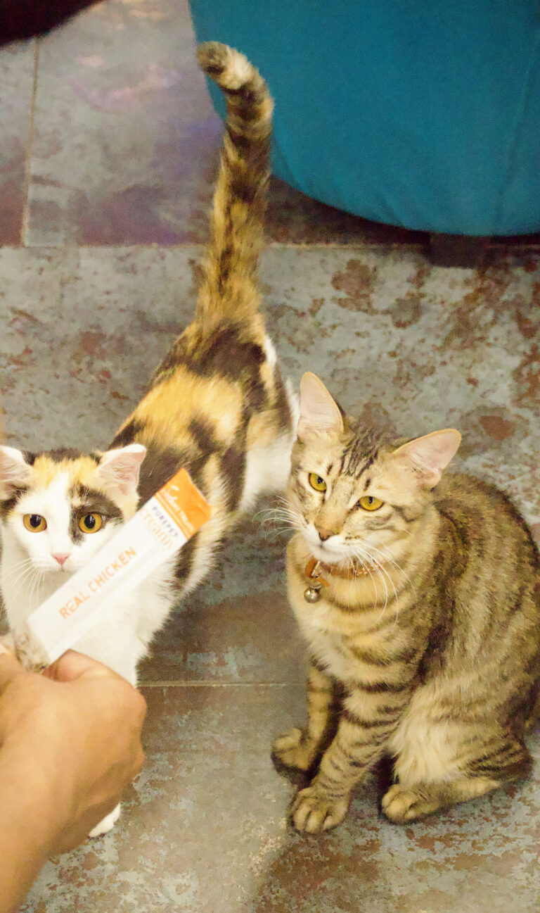 Photo by Demon Bentley