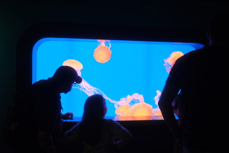 Photo by Brett Escuriex