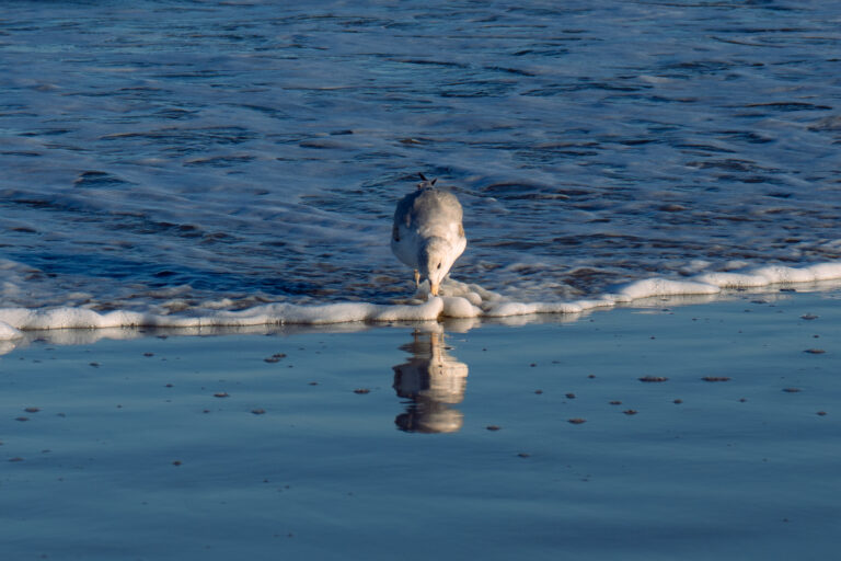 Photo by Christian Gainey