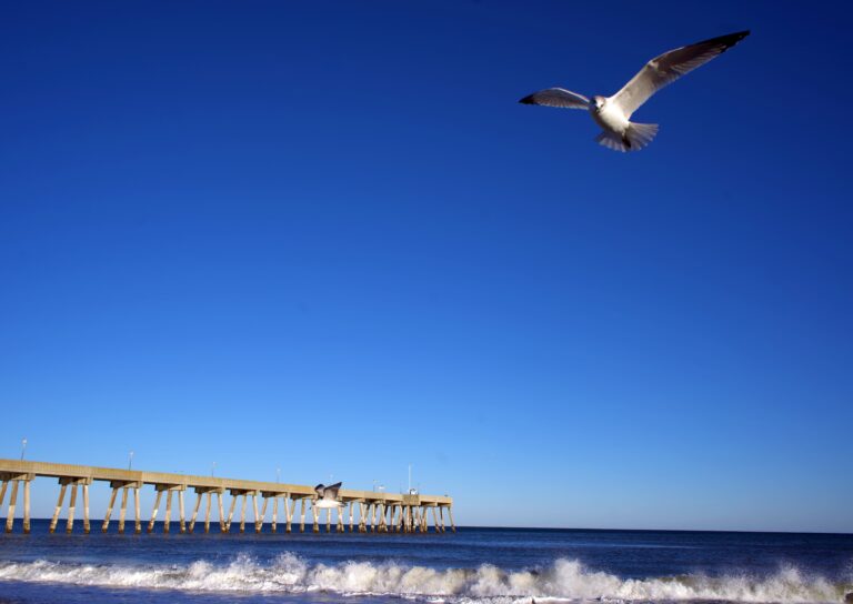 Photo by Christian Gainey