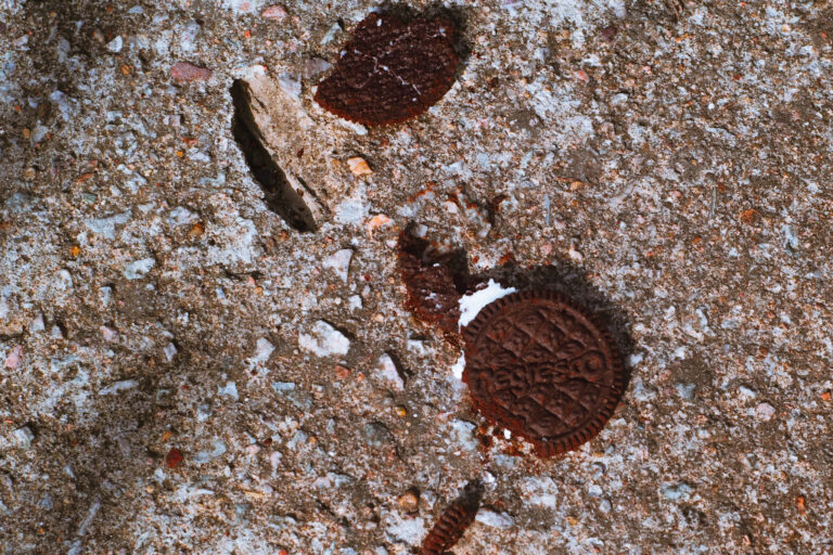 Photo by Alex Bezerra