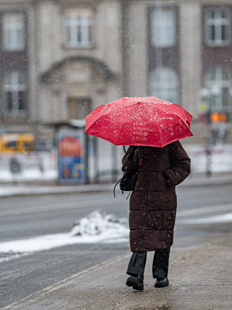 Photo by Thore Siebrands