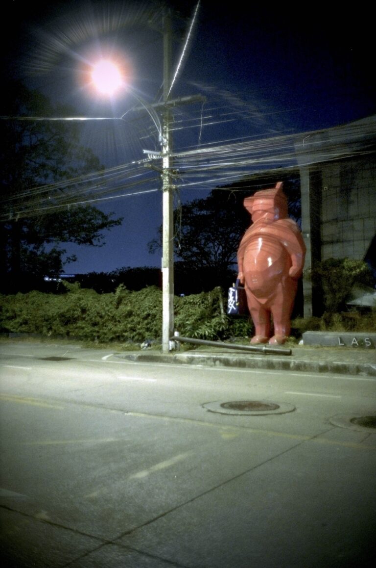 Photo by Paul Martin