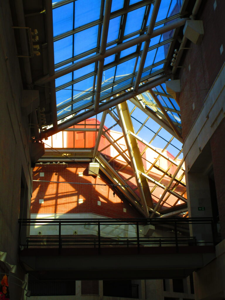 Photo by Remi Taylor