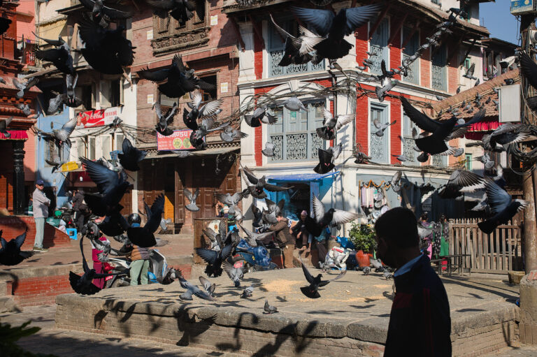 Photo by Black Pixel